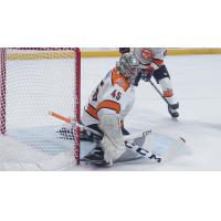 Greenville Swamp Rabbits goaltender Ryan Bednard