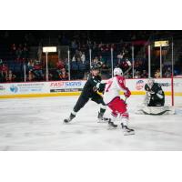 Hank Crone of the Allen Americans vs. the Utah Grizzlies