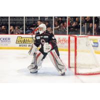 Birmingham Bulls goaltender Hayden Stewart