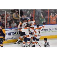 Greenville Swamp Rabbits celebrate win