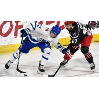 Wichita Thunder's Peter Bates battles Allen Americans' Hank Crone