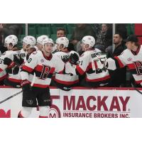 Belleville Senators' Zack Ostapchuk congratulated by team