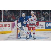 Grand Rapids Griffins right wing Carter Mazur vs. the Toronto Marlies