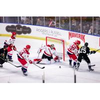 Allen Americans battle the Utah Grizzlies