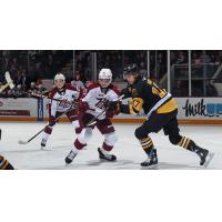 Peterborough Petes' Ryder McIntyre and Braydon McCallum and Brantford Bulldogs' Masen Wray in action