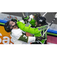 Rochester Knighthawks' Thomas Whitty battles Saskatchewan Rush's Mike Mallory