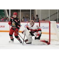 Grand Rapids Griffins' Marco Kasper and Belleville Senators' Mads Sogaard on game night