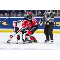 Kelowna Rockets centre Gabriel Szturc (right)