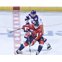 Orlando Solar Bears' Alexandre Fortin and South Carolina Stingrays' Nick Leivermann on the ice