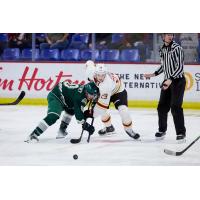 Vancouver Giants captain Sam Honzek