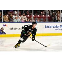 Utah Grizzlies forward Patriks Marcinkevics