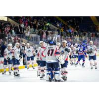 Springfield Thunderbirds celebrate win