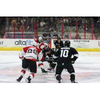 Cincinnati Cyclones' Lee Lapid and Utah Grizzlies' Mick Messner on the ice