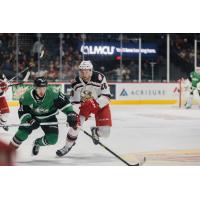 Grand Rapids Griffins' Joel L'Esperance versus Texas Stars' Michael Karow