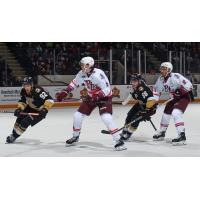 Peterborough Petes' Konnor Smith and Donovan McCoy and Kingston Frontenacs' Matthew Soto and Jacob Battaglia in action