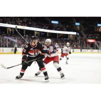 Belleville Senators' Maxence Guenette versus Cleveland Monsters' Brendan Gaunce