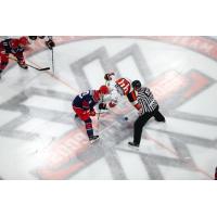 Allen Americans face off with the Kansas City Mavericks