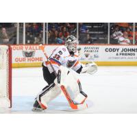 Lehigh Valley Phantoms goaltender Felix Sandstrom