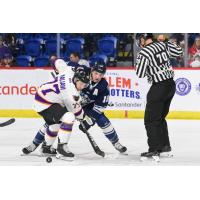 Reading Royals' Devon Paliani battles Worcester Railers' Jake Pivonka