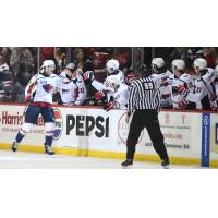 South Carolina Stingrays' Jonny Evans congratulated by team