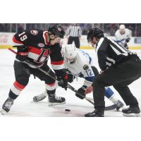 Belleville Senators' Matthew Boucher versus Grand Rapids Griffins' Owen Sillinger