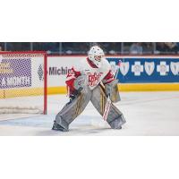 Grand Rapids Griffins goaltender Michael Hutchinson