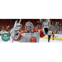 Greenville Swamp Rabbits goaltender Jacob Ingham