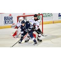 Worcester Railers' Joey Cipollone in action