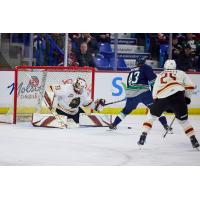 Vancouver Giants goaltender Brett Mirwald