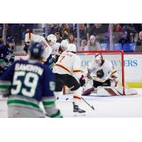 Vancouver Giants goaltender Brett Mirwald