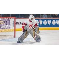 Grand Rapids Griffins goaltender Michael Hutchinson