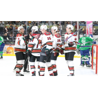 Tucson Roadrunners celebrate a goal