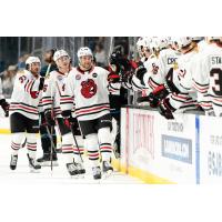 Rockford IceHogs exchange fist bumps along the bench