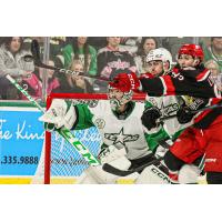 Grand Rapids Griffins' Amadeus Lombard in action