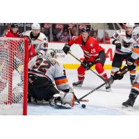 Charlotte Checkers' Cameron Morrison and Lehigh Valley Phantoms' Felix Sandstrom in action