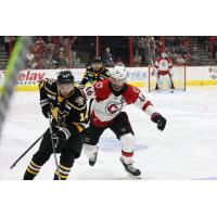 Wheeling Nailers' Jordan Frasca versus Cincinnati Cyclones' Justin Vaive