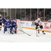 Toronto Marlies' Dylan Gambrell versus Belleville Senators' Matthew Highmore