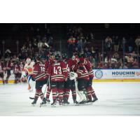 Tucson Roadrunners celebrate win