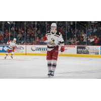 Grand Rapids Griffins defenseman Simon Edvinsson