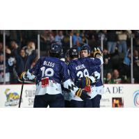 Toledo Walleye celebrate a goal