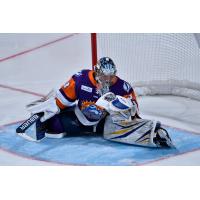 Orlando Solar Bears goaltender Colten Ellis