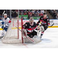 Belleville Senators goaltender Kevin Mandolese vs. the Toronto Marlies