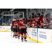 Tucson Roadrunners exchange fist bumps along the bench