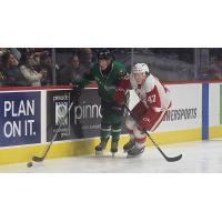 Grand Rapids Griffins forward Alex Doucet