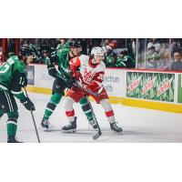 Grand Rapids Griffins forward Trenton Bliss