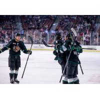 Utah Grizzlies celebrate win