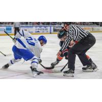 Wichita Thunder forward Jason Pineo faces off with the Kansas City Mavericks