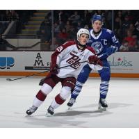 Peterborough Petes right wing Braydon McCallum vs. the Mississauga Steelheads