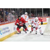 Charlotte Checkers' Mark Senden and Lehigh Valley Phantoms' Louie Belpedio and Emil Andrae on the ice