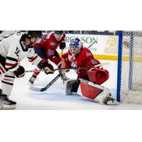 Kalamazoo Wings goaltender Hunter Vorva